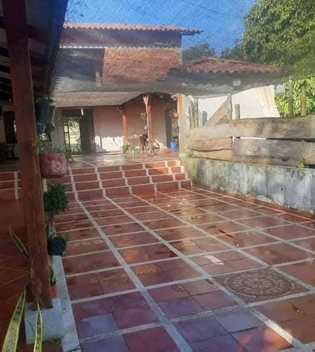 patio_armero_v2.jpg